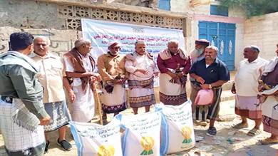 ​توزيع البذور المحسنة لـ 600 مزارع في بيحان 